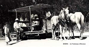 Biskra - Tramway